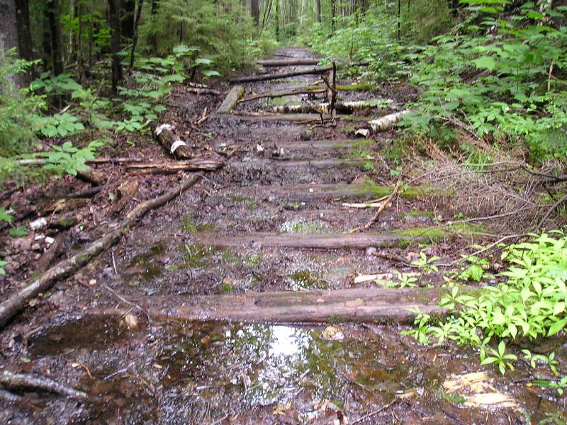 PemiBridgeHike (11).JPG - Parts of the trail were full of mud.